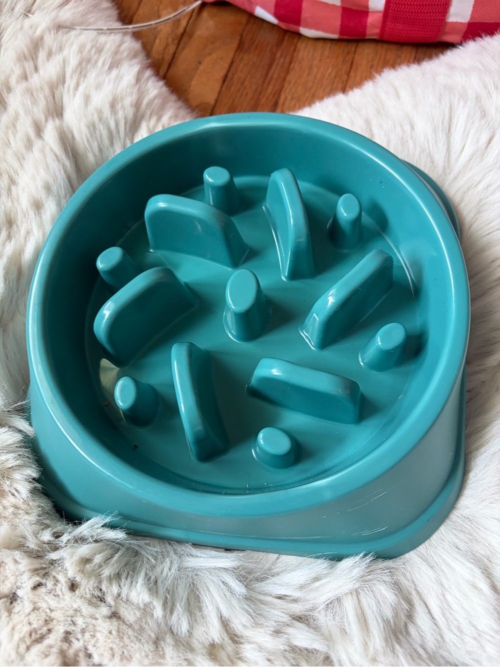 Slow Feed Pet Bowl in Teal